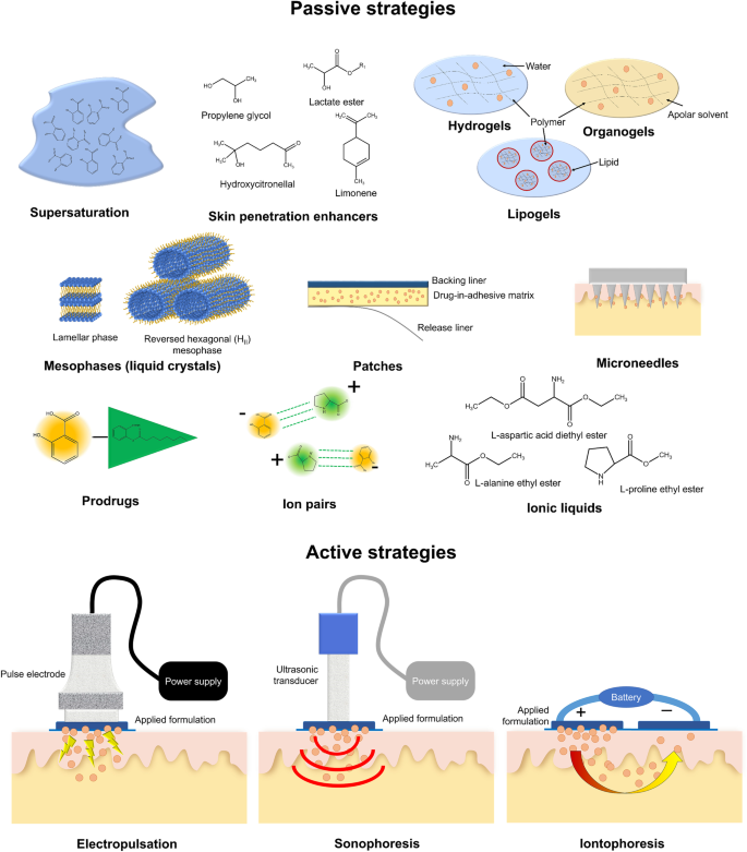 Topical delivery of salicylates | SpringerLink