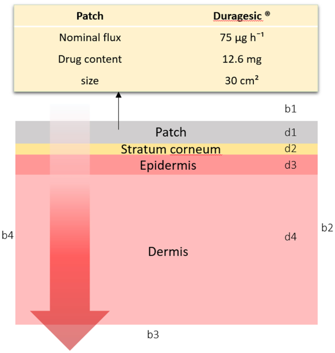 Durogesic D-Trans Full Prescribing Information, Dosage & Side Effects