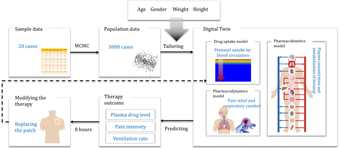 Predicting transdermal fentanyl delivery using mechanistic simulations for  tailored therapy