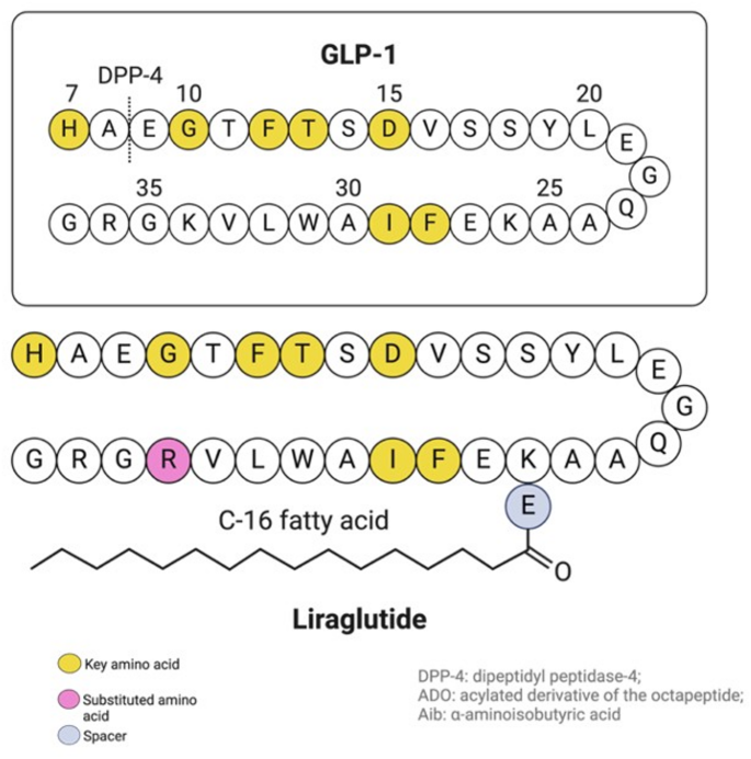 glp-1 breast cancer Managing chemo side effects is a major concern for many people. New  research suggests GLP-1 medications may be linked to fewer chemotherapy  side effects. Check the link in the comments for more