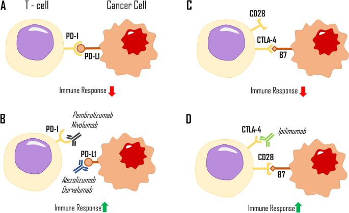 cancer mutations research paper figure 1