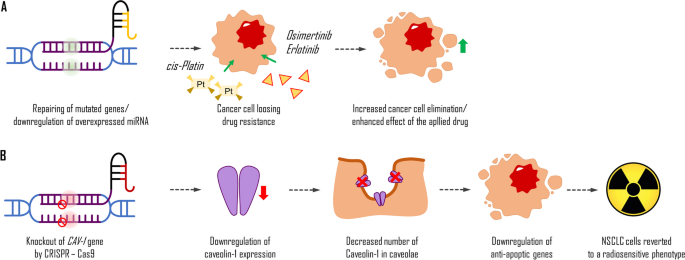 cancer mutations research paper figure 4