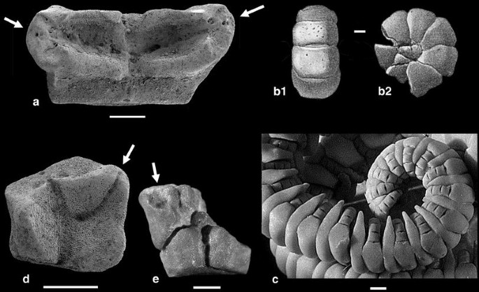 figure 16