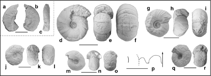 figure 24