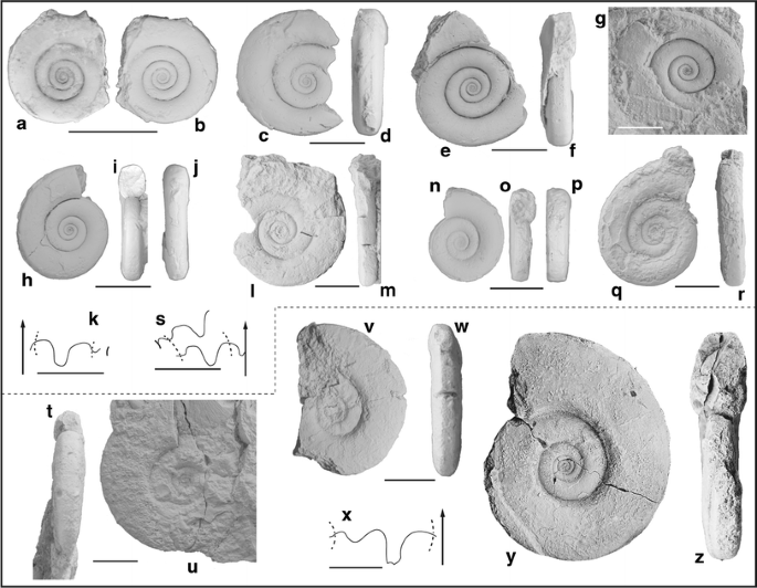 figure 36