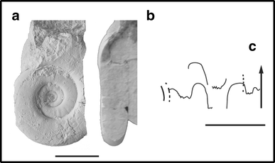 figure 40