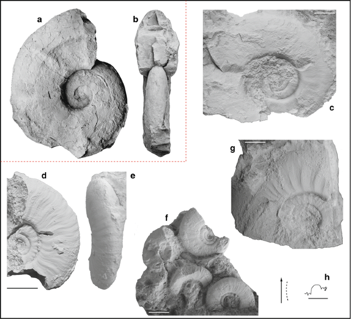 figure 48