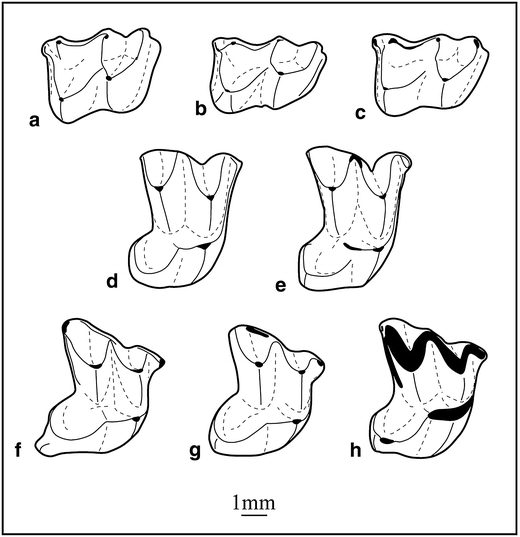 figure 17