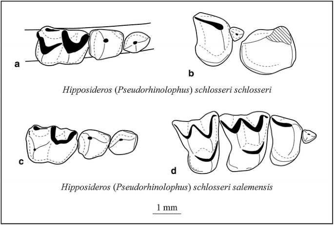 figure 22