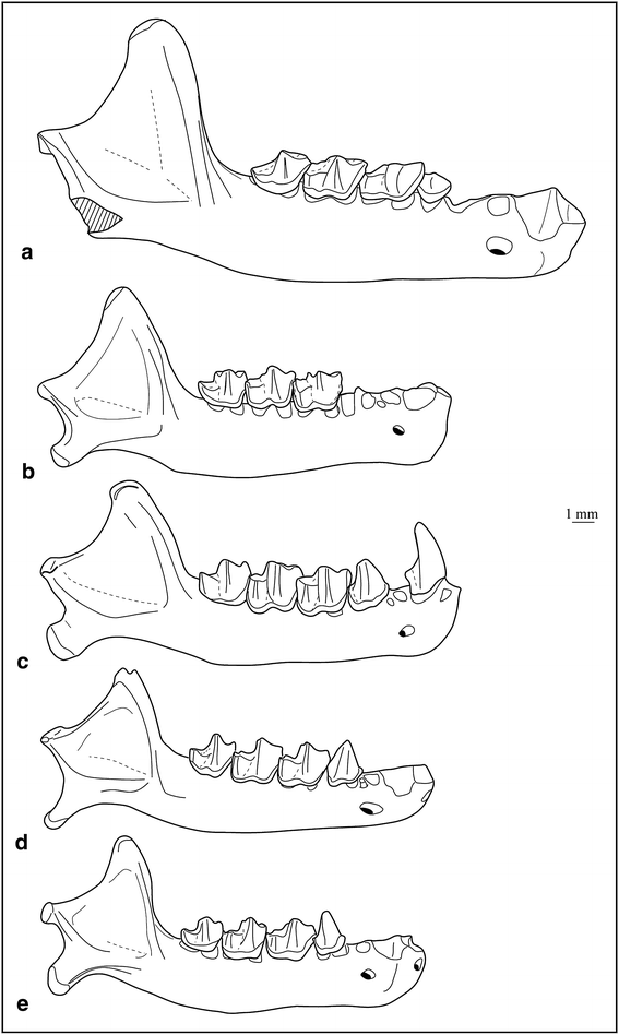 figure 24