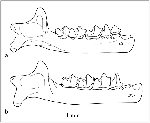 figure 26