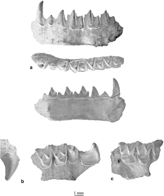 figure 17