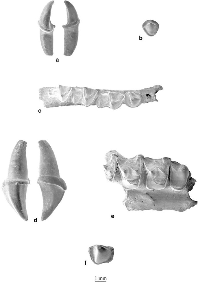 figure 22