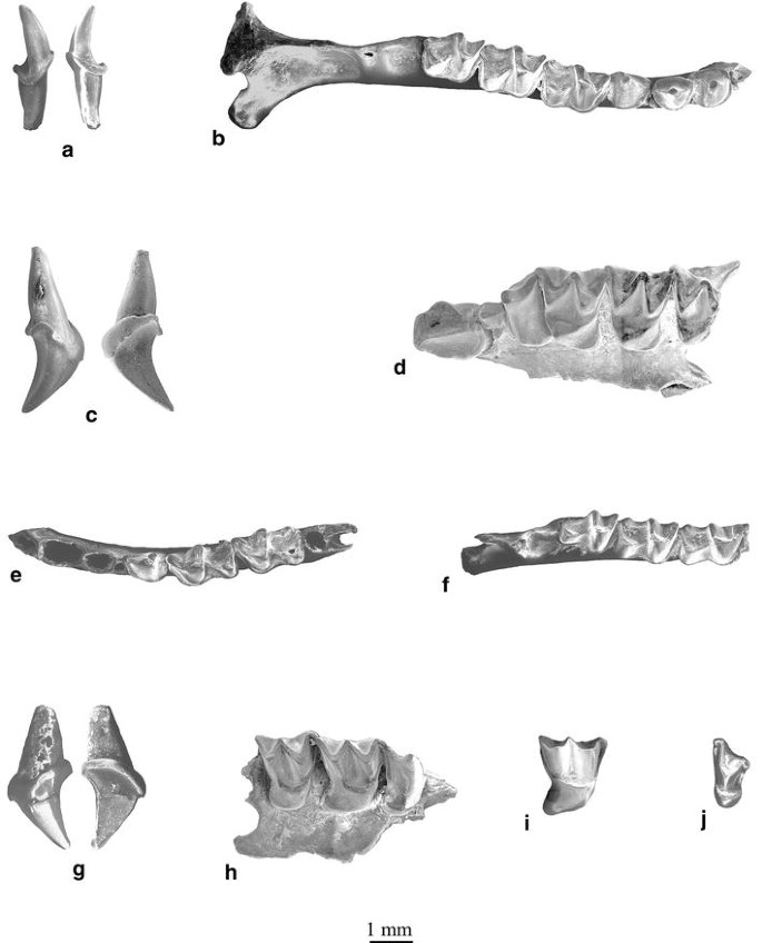 figure 23