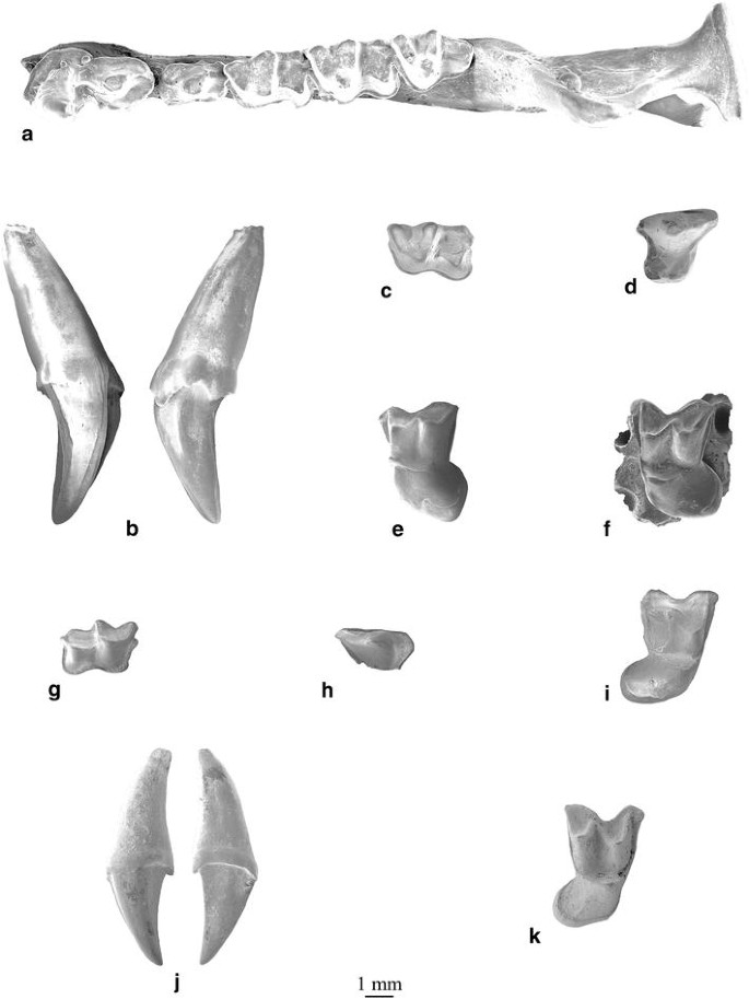 figure 25