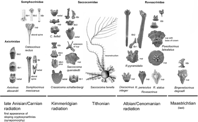 figure 20