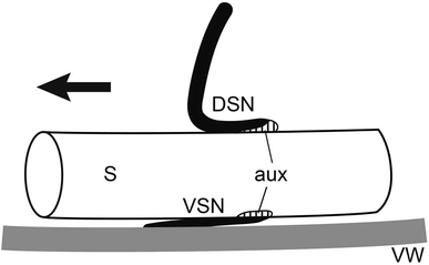 figure 8