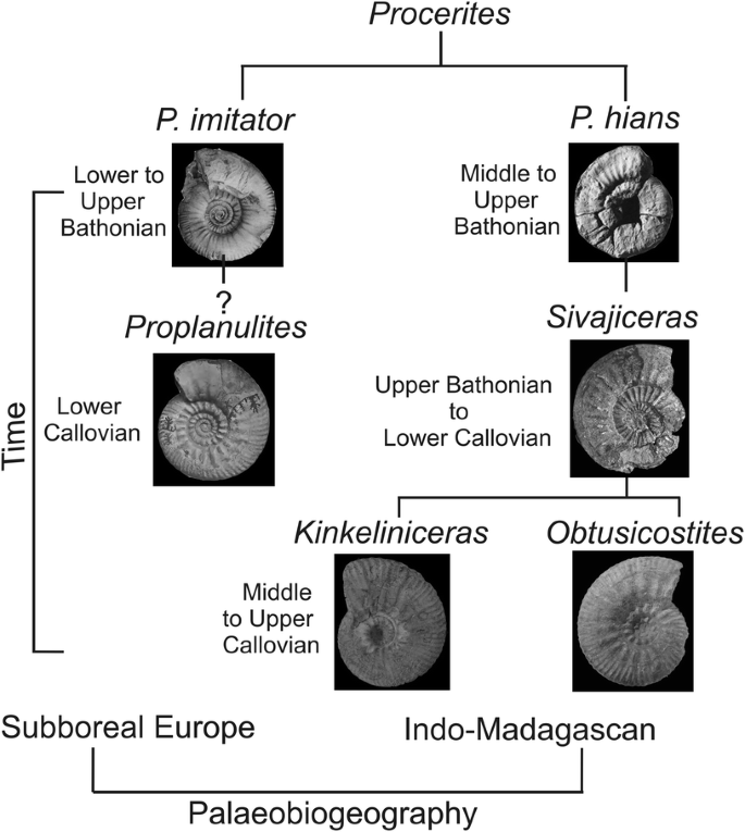 figure 21