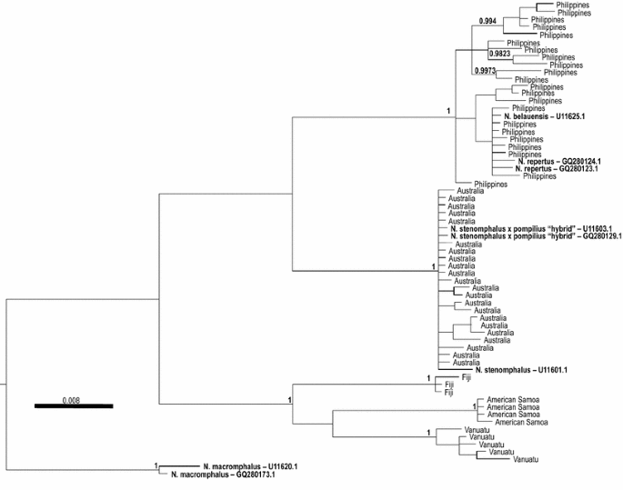 figure 17