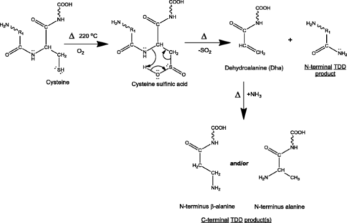 scheme 3