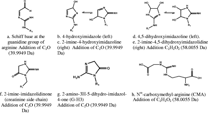 Study Of An Unusual Advanced Glycation End Product Age Derived From Glyoxal Using Mass Spectrometry Springerlink