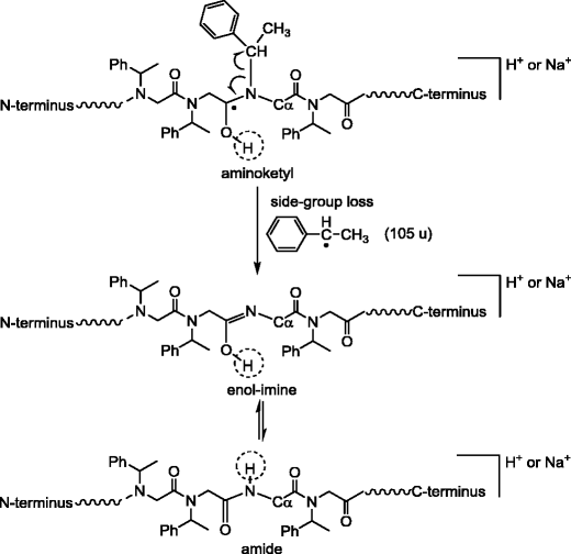 scheme 5