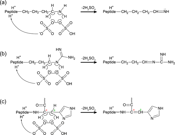 scheme 4