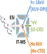 Charge Transfer Dissociation Of Complex Oligosaccharides Comparison With Collision Induced Dissociation And Extreme Ultraviolet Dissociative Photoionization Springerlink