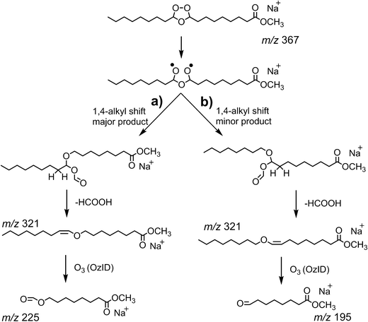 scheme 4