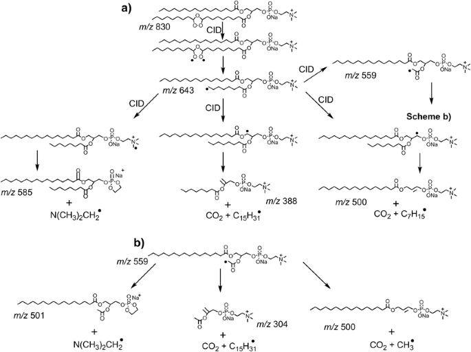 scheme 5