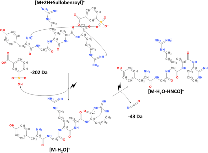 scheme 4