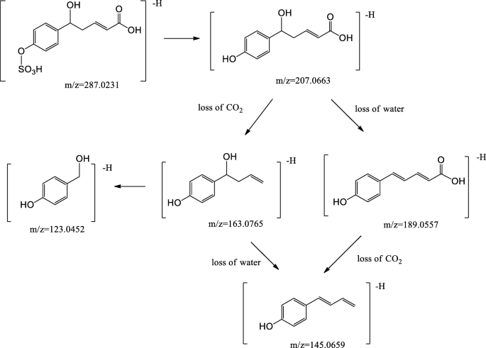 scheme 4