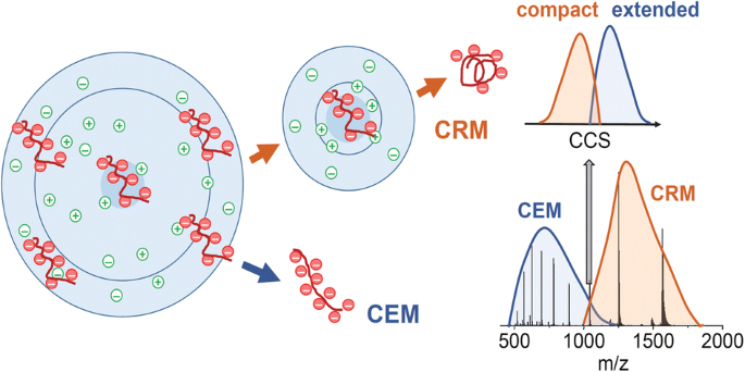 Ion Mobility Mass Spectrometry (IM-MS) for Structural Biology: Insights  Gained by Measuring Mass, Charge, and Collision Cross Section