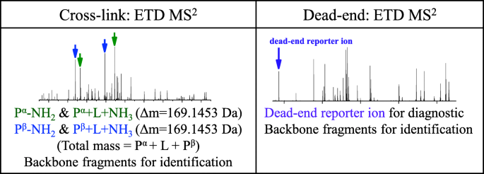 scheme 3