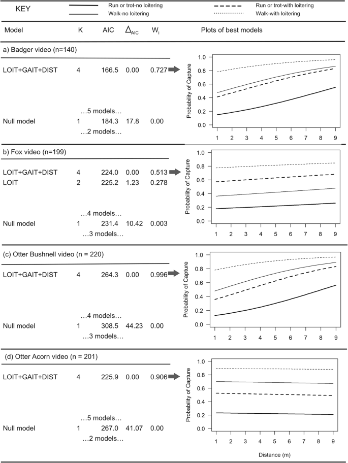Component Processes Of Detection Probability In Camera Trap Studies Understanding The Occurrence Of False Negatives Springerlink