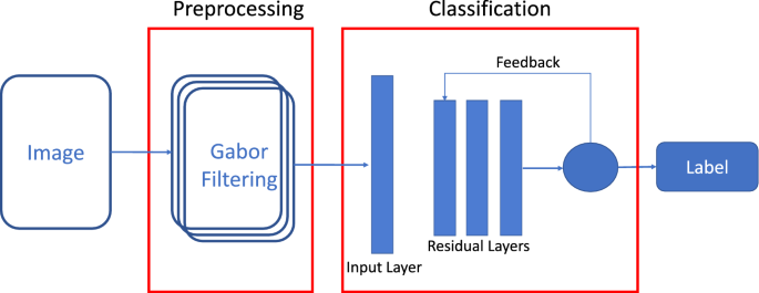 A Framework for Classification of Gabor Based Frequency Selective Bone Using CNN | SpringerLink