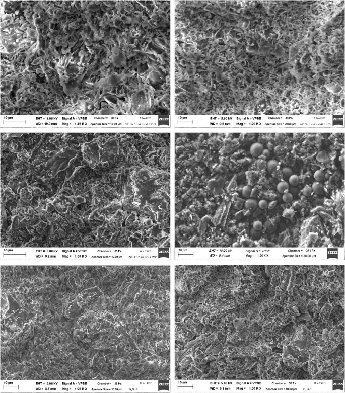 Understanding The Influence Of Biomass Particle Size And Reaction Medium On The Formation Pathways Of Hydrochar Springerlink