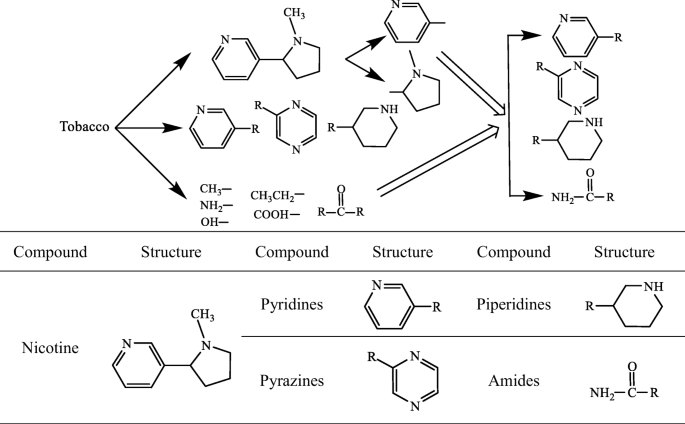 Production of bio-oils enriched with aroma compounds from tobacco waste  fast pyrolysis in a fluidized bed reactor | Biomass Conversion and  Biorefinery