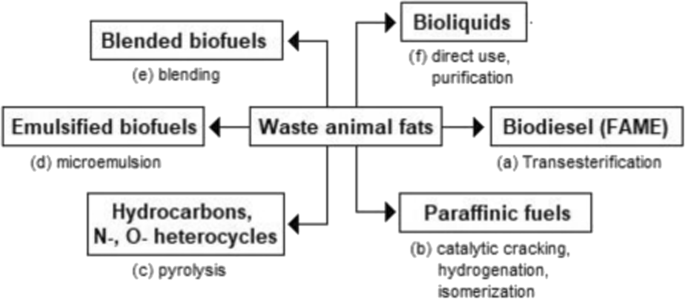 Bioliquids from raw waste animal fats: an alternative renewable energy source | SpringerLink Bioliquids from raw waste animal fats: an alternative renewable energy source | SpringerLink