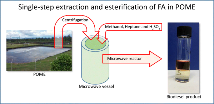 Single-step extraction–esterification process to produce biodiesel from  palm oil mill effluent (POME) using microwave heating: a circular economy  approach to making use of a difficult waste product | SpringerLink