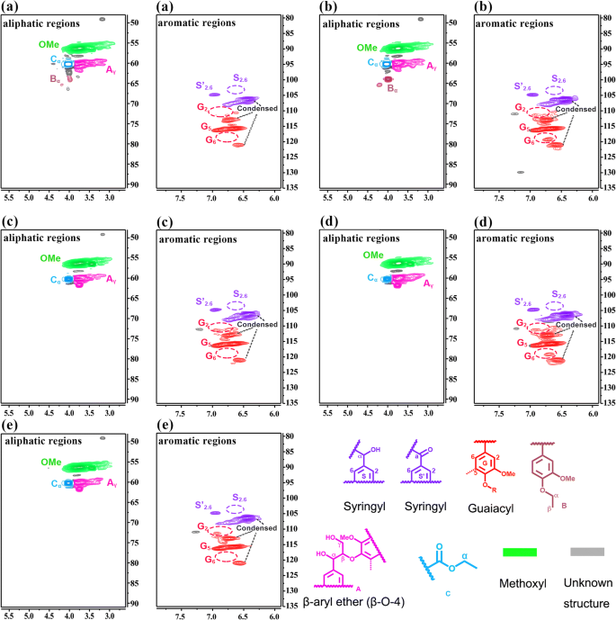 Facile Adjusting The Concentration Of Siliceous Seed To Obtain Different Hzsm 5 Zeolite Catalysts For Effective Catalytic Depolymerization Reaction Of Lignin Springerlink