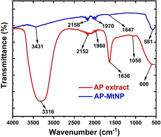 Ananas Comosus Peel Mediated Green Synthesized Magnetite Nanoparticles And Their Antifungal Activity Against Four Filamentous Fungal Strains Springerlink
