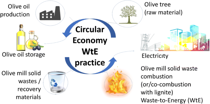 Bioenergy production from olive oil mill solid wastes and their blends with  lignite: thermal characterization, kinetics, thermodynamic analysis, and  several scenarios for sustainable practices | SpringerLink