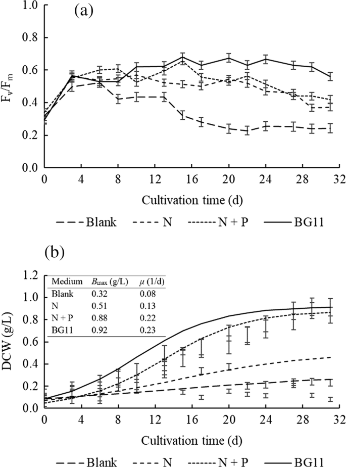 Meeting Sustainable Development Goals Sdgs Through Progression Of Pilot Scale Algal System To Commercial Raceway Pond 300 000 L Springerlink