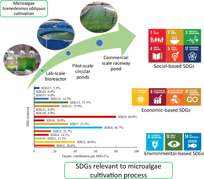 Meeting Sustainable Development Goals Sdgs Through Progression Of Pilot Scale Algal System To Commercial Raceway Pond 300 000 L Springerlink