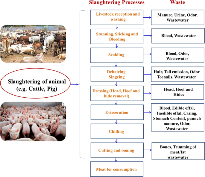 Slaughterhouse and poultry wastes: management practices, feedstocks for  renewable energy production, and recovery of value added products |  SpringerLink