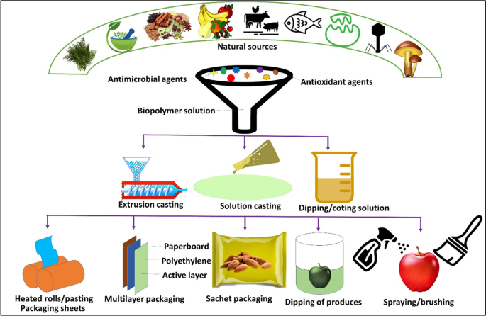 Natural antimicrobial and antioxidant compounds for active food packaging  applications | SpringerLink