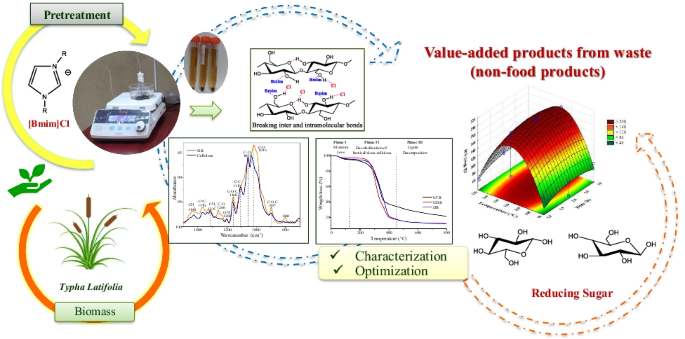 Pretreatment Typha latifolia biomass with imidazolium ionic liquid as a strategy for sugar production |