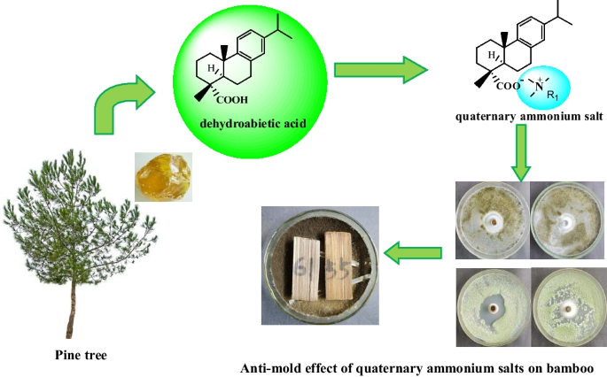 Synthesis, characterization, antifungal properties of quaternary ammonium  salts derived from natural rosin | Biomass Conversion and Biorefinery