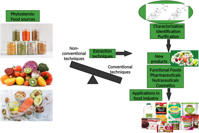 A narrative review on extraction techniques of phytosterols and their  applications in food industry | Biomass Conversion and Biorefinery